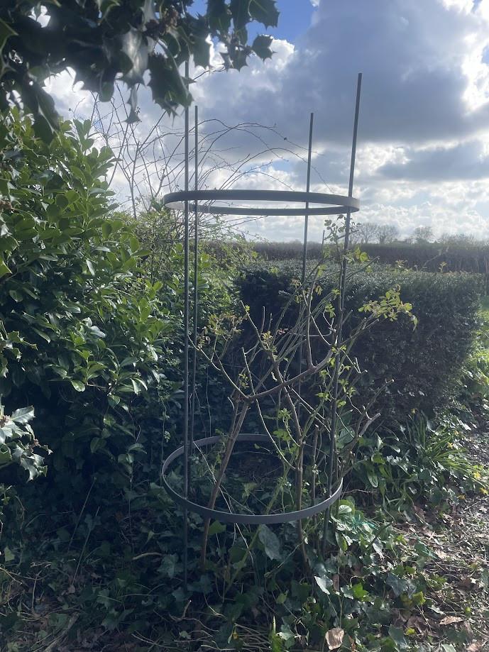 Lasser nodig? Ontwerp en Constructies mogelijk!