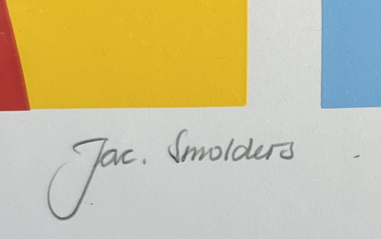 Zeefduk Jac Smolders14 van 25 "Kleurige dieren in de nacht"