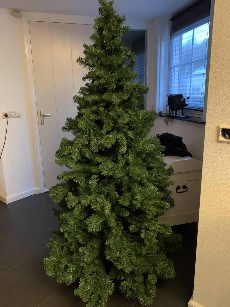 Kerstboom ong 2 meter