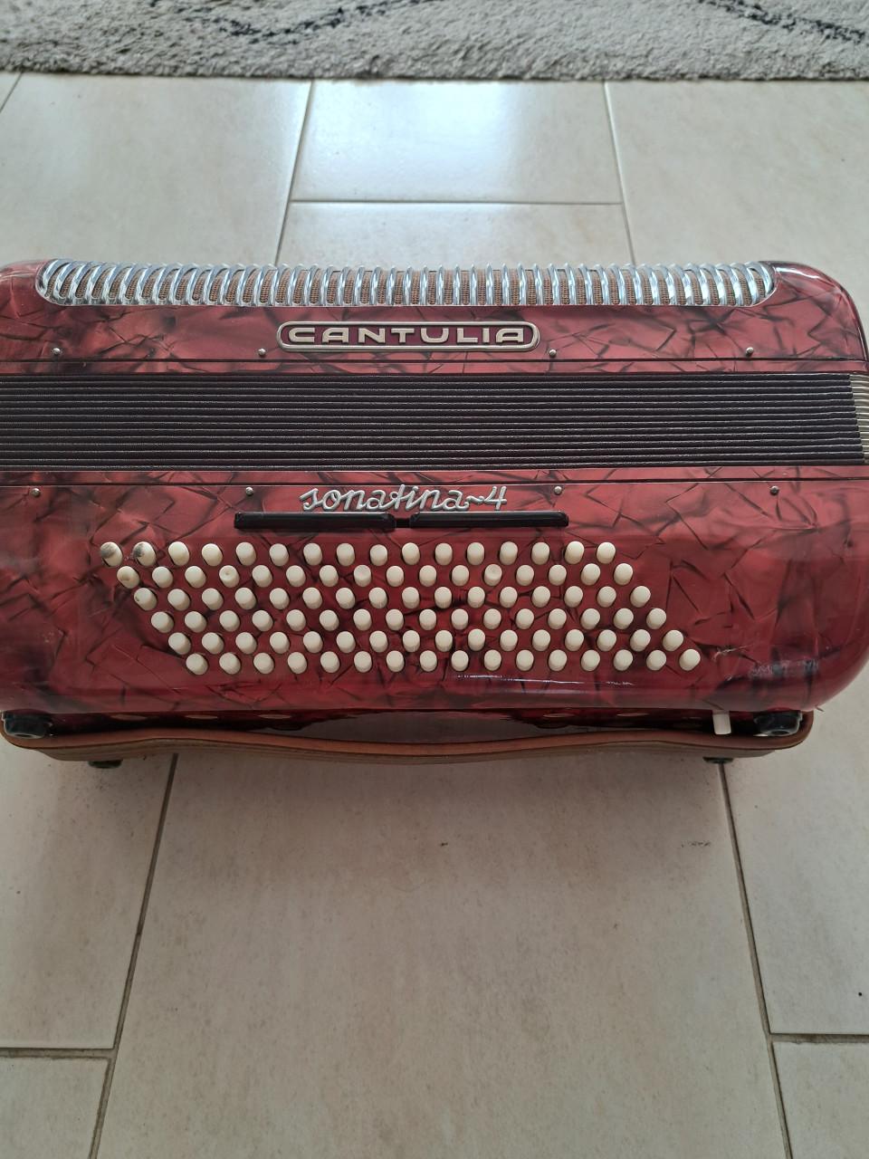 Accordion cantulia 4