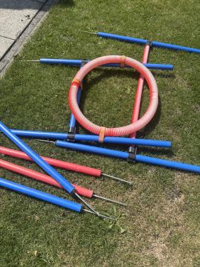 Hindernis baan honden agility