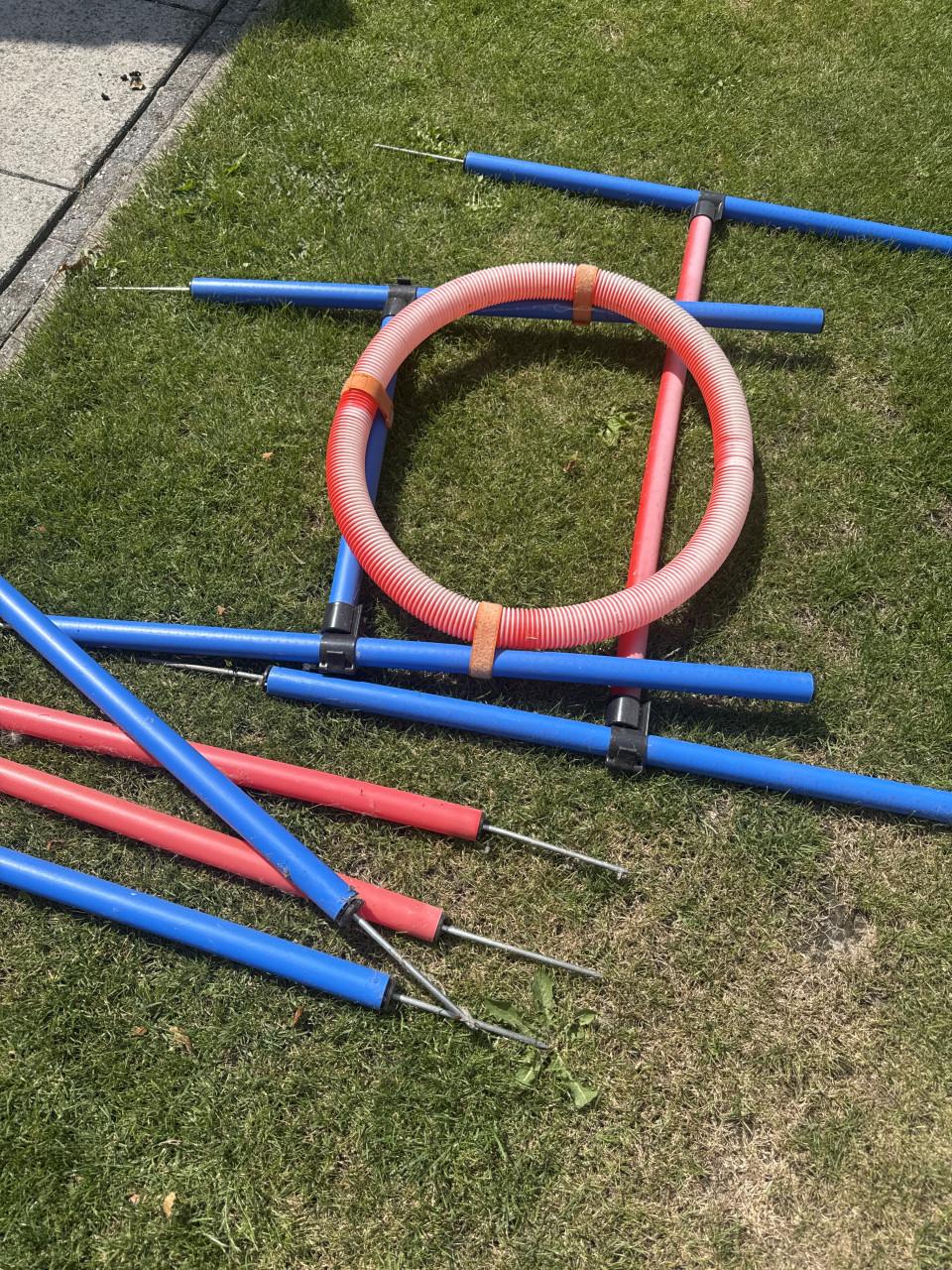 Hindernis baan honden agility