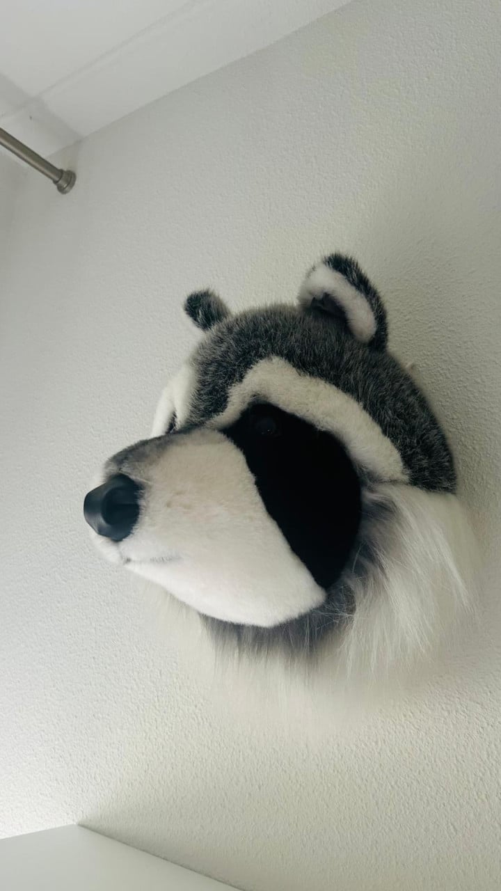Dierenkoppen pluche