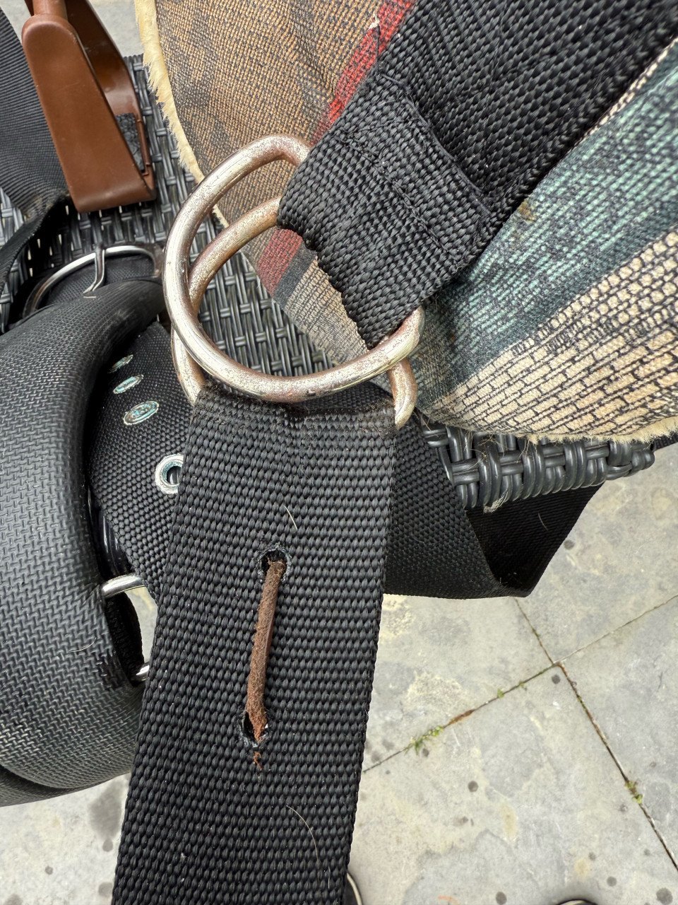 Barebackpad paard