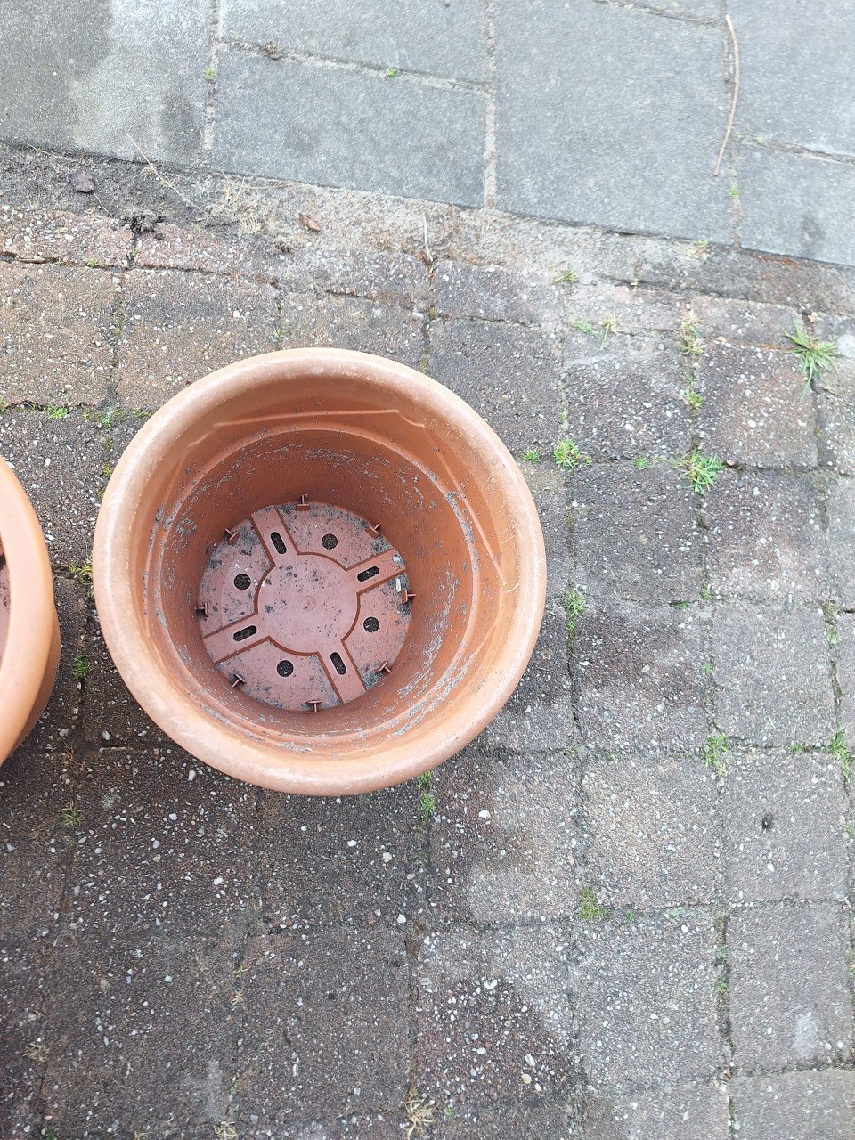 Bloempotten
