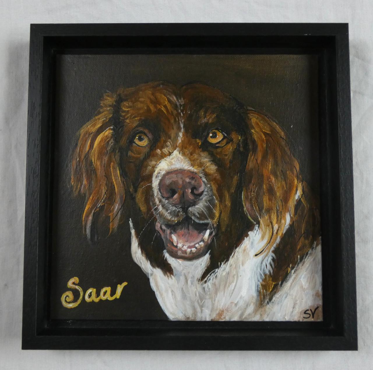 Portret van je hond - vanaf 75 euro