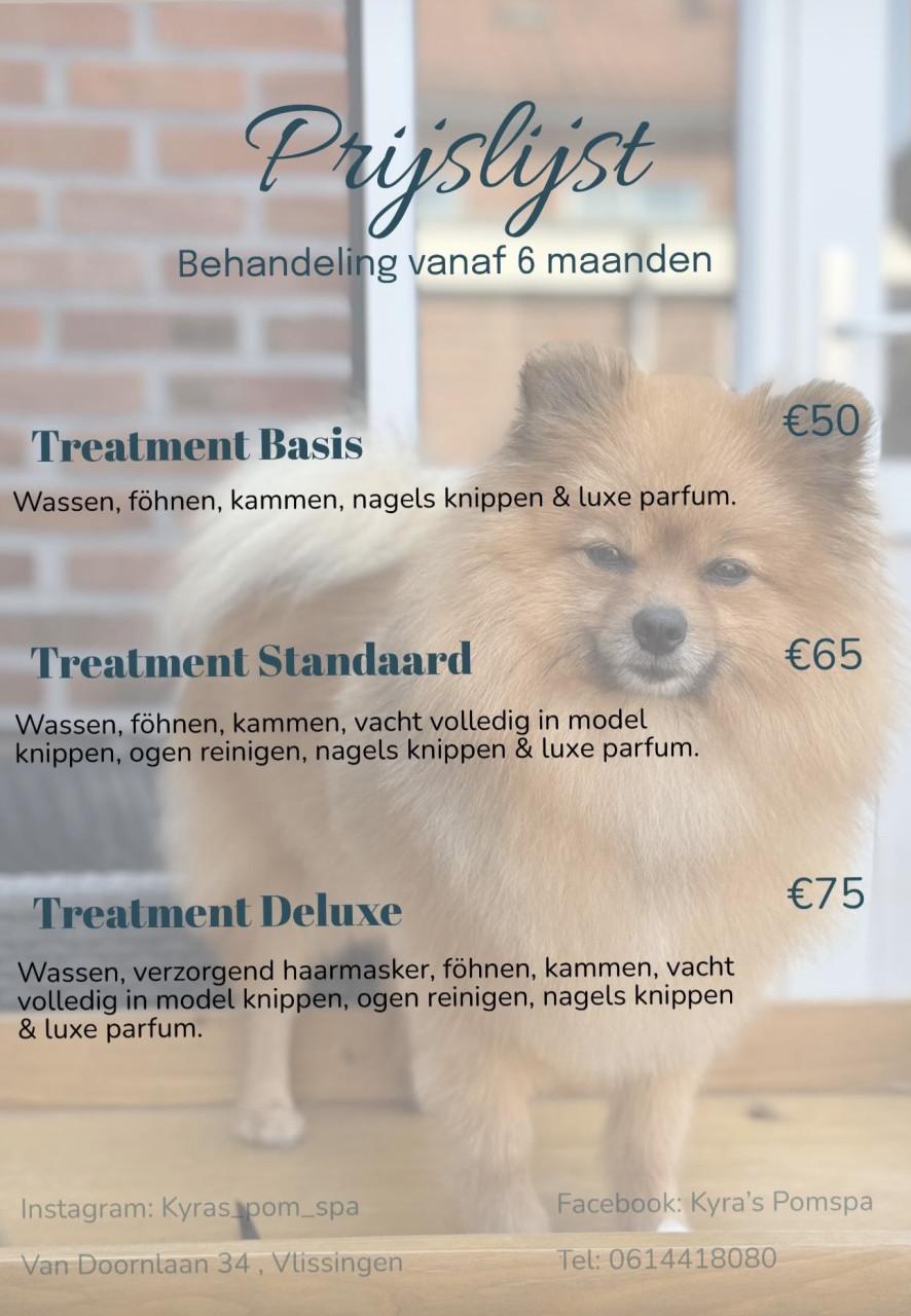 Plaats voor nieuwe klanten in de trimsalon