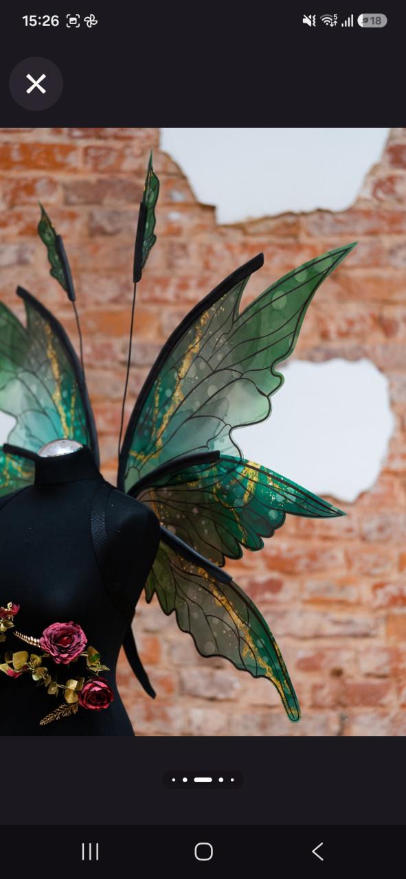Fairy wings cosplay