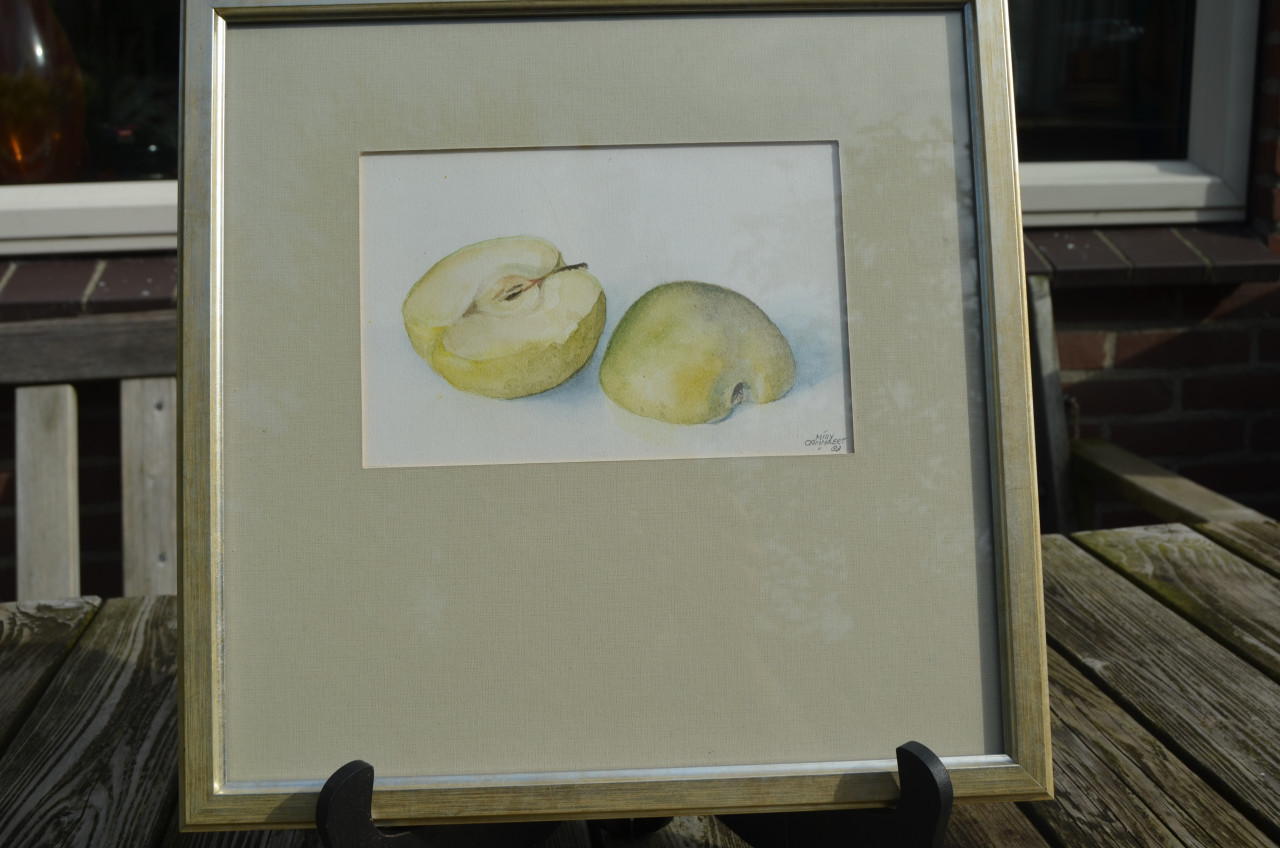 Aquarel 'Appel' Milly Cammaert '83 in goede staat.