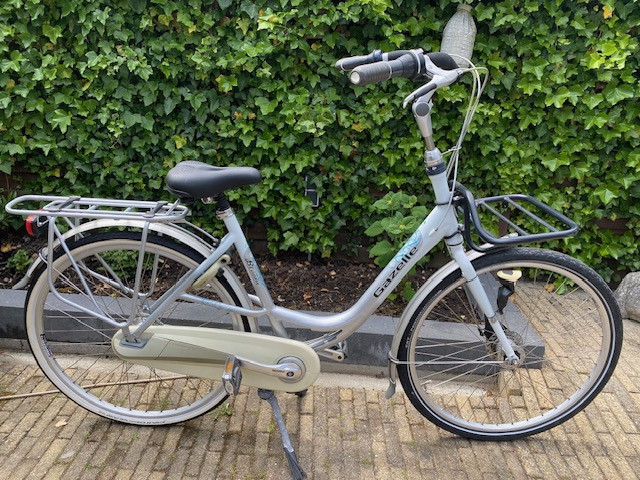 Moederfiets Gazelle Bloom