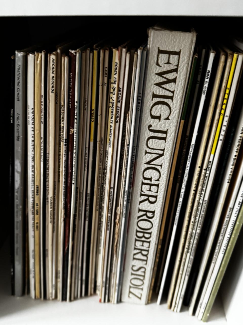 Collectie LP’s (circa 450)