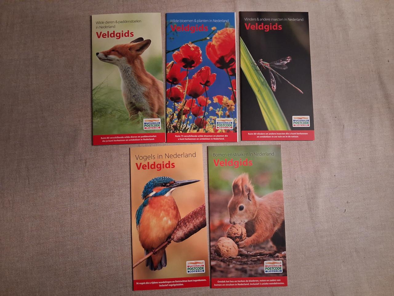 Educatie boeken