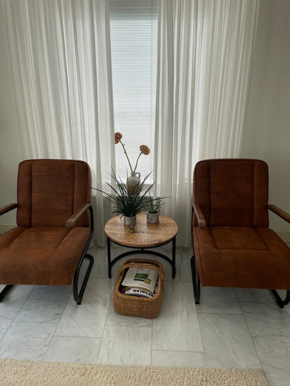 2 luxe fauteuils zgn