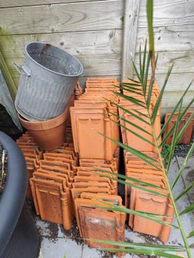 Sterreberg dakpannen