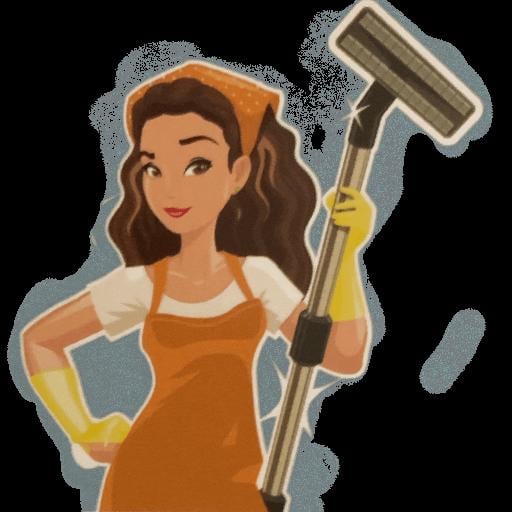 Huishoudelijke hulp Terneuzen