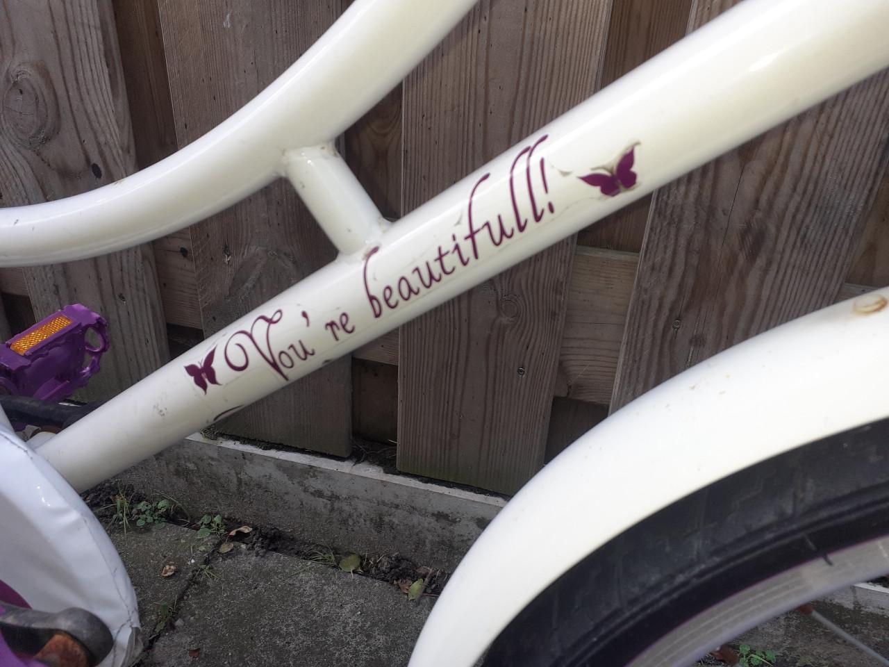 Mooie Meisjesfiets 20 inch