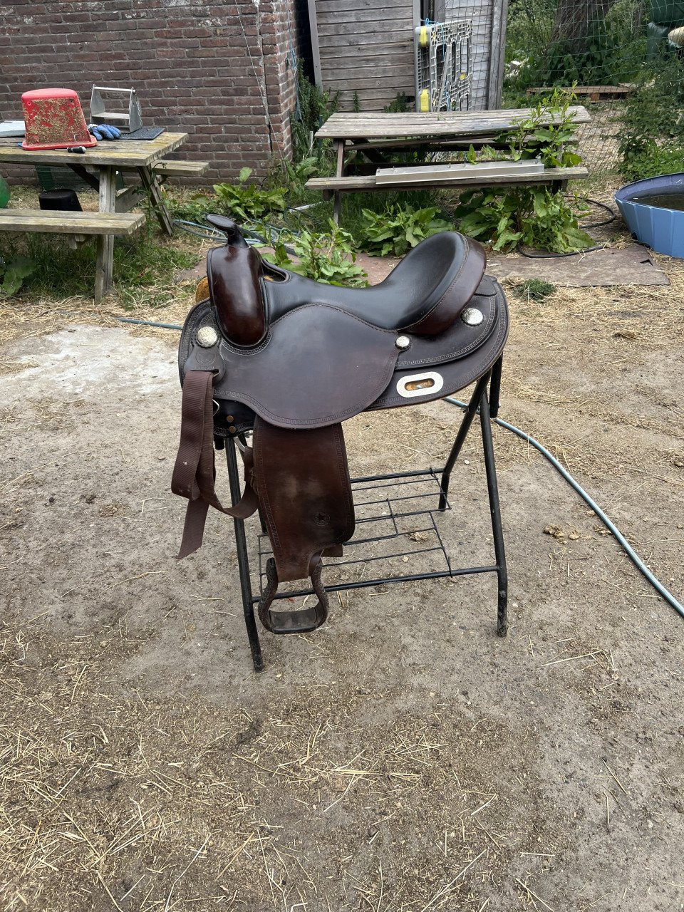 White star westernzadel