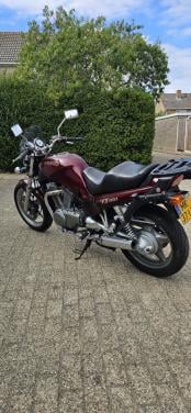 Suzuki vx 800