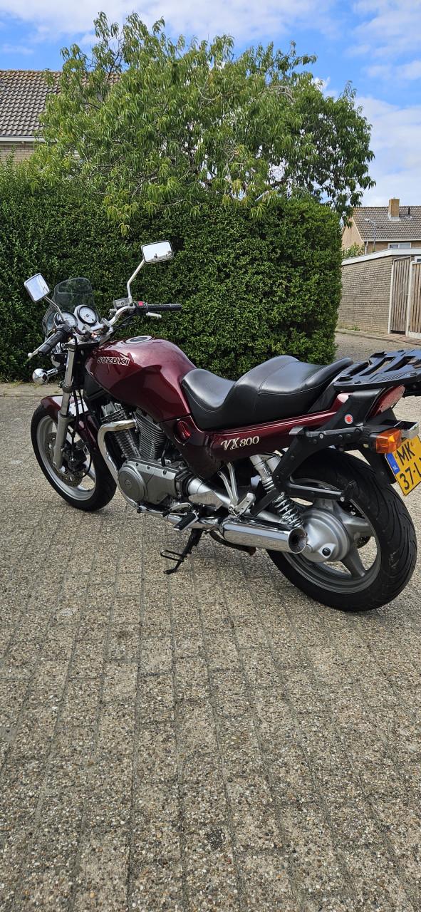 Suzuki vx 800