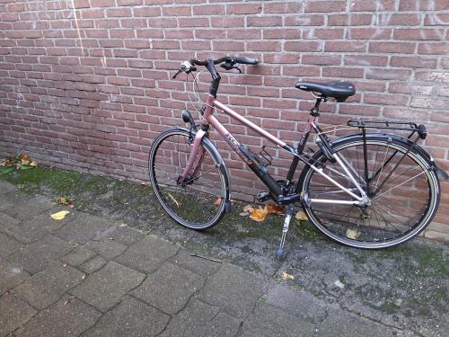 Koga Miyata, damesfiets