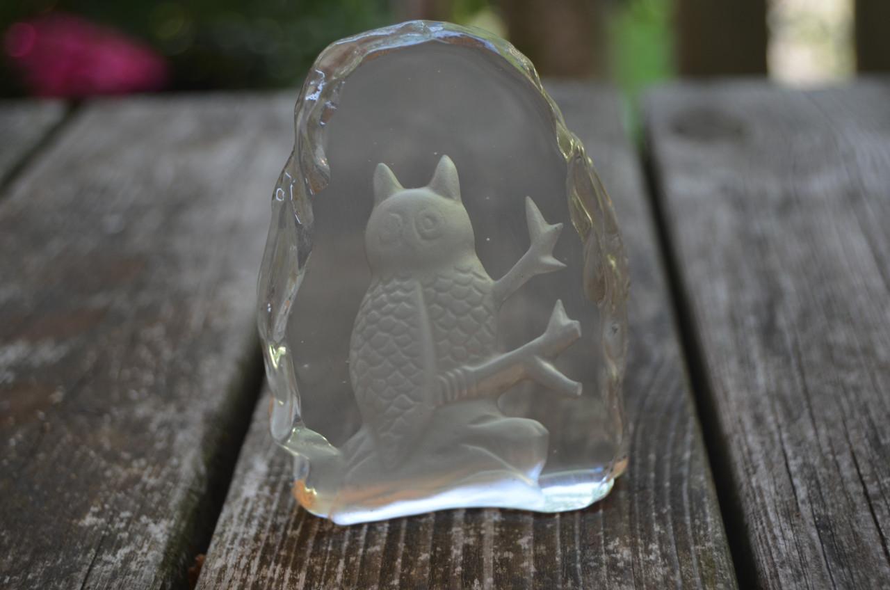 Glazen sculptuur van een uil ipst.