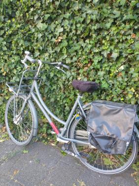 Batavus CNCTD damesfiets