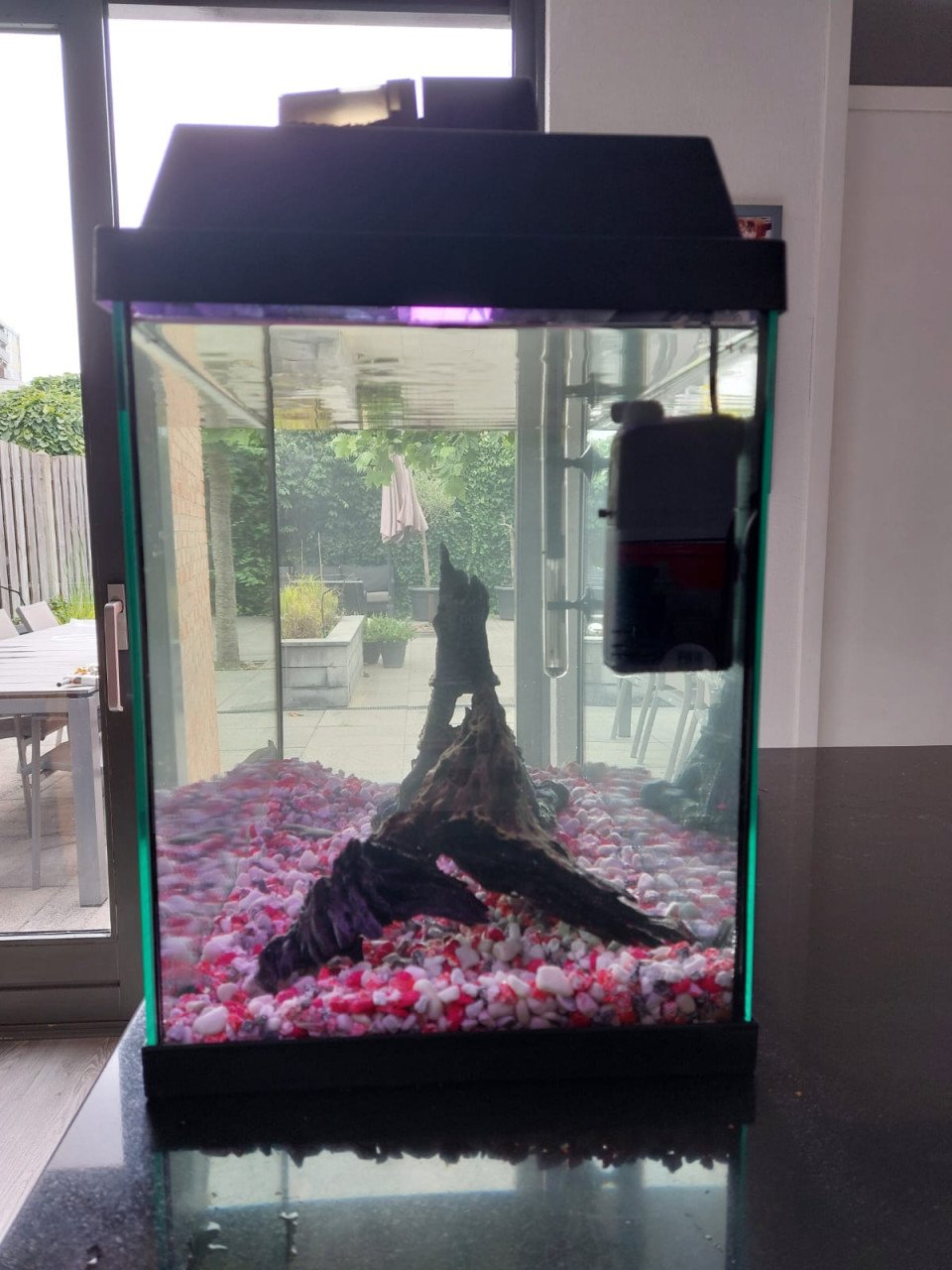 Juwel Monolux 60 aquarium