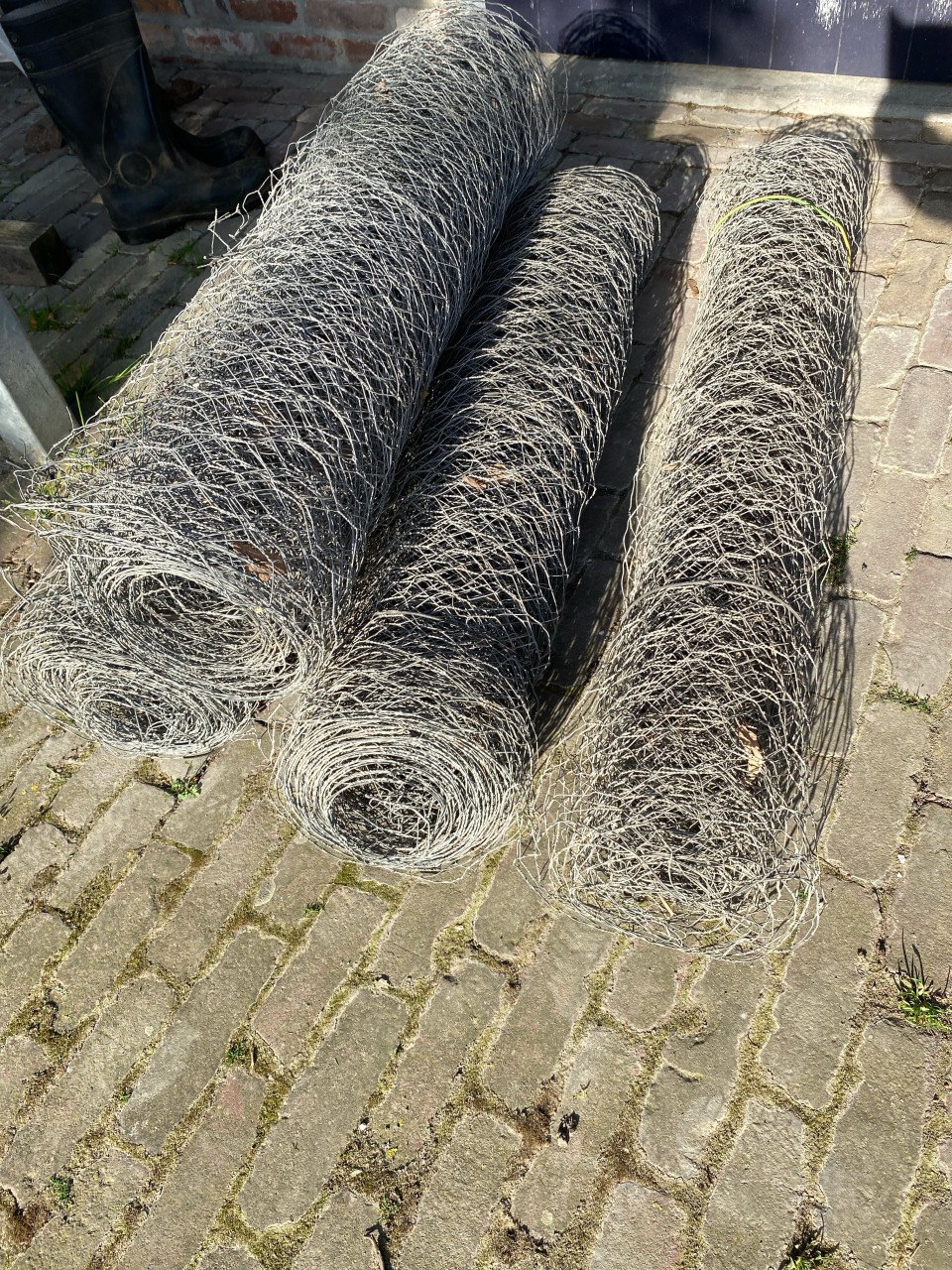 Kippengaas