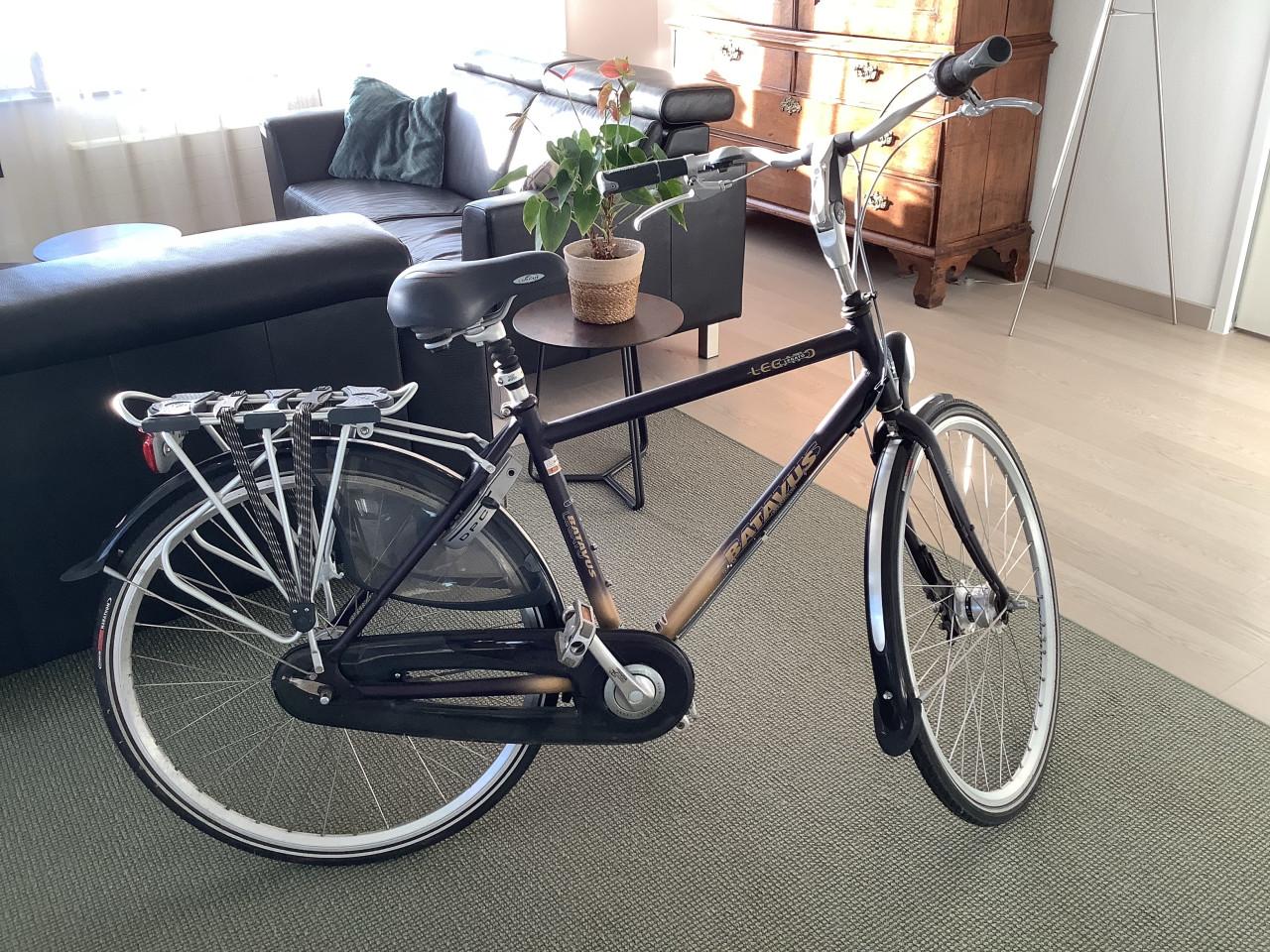 Keurige Batavus Legato