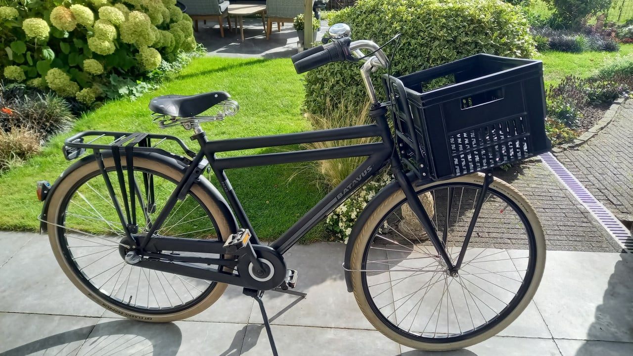 Batavus packo