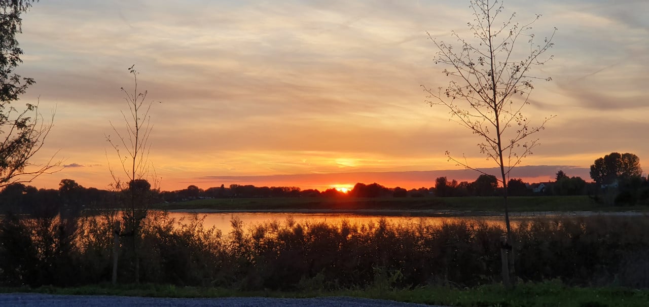 2 Vakantiehuizen HOME 258 of RIET 159 direct aan het water: zwemmen!