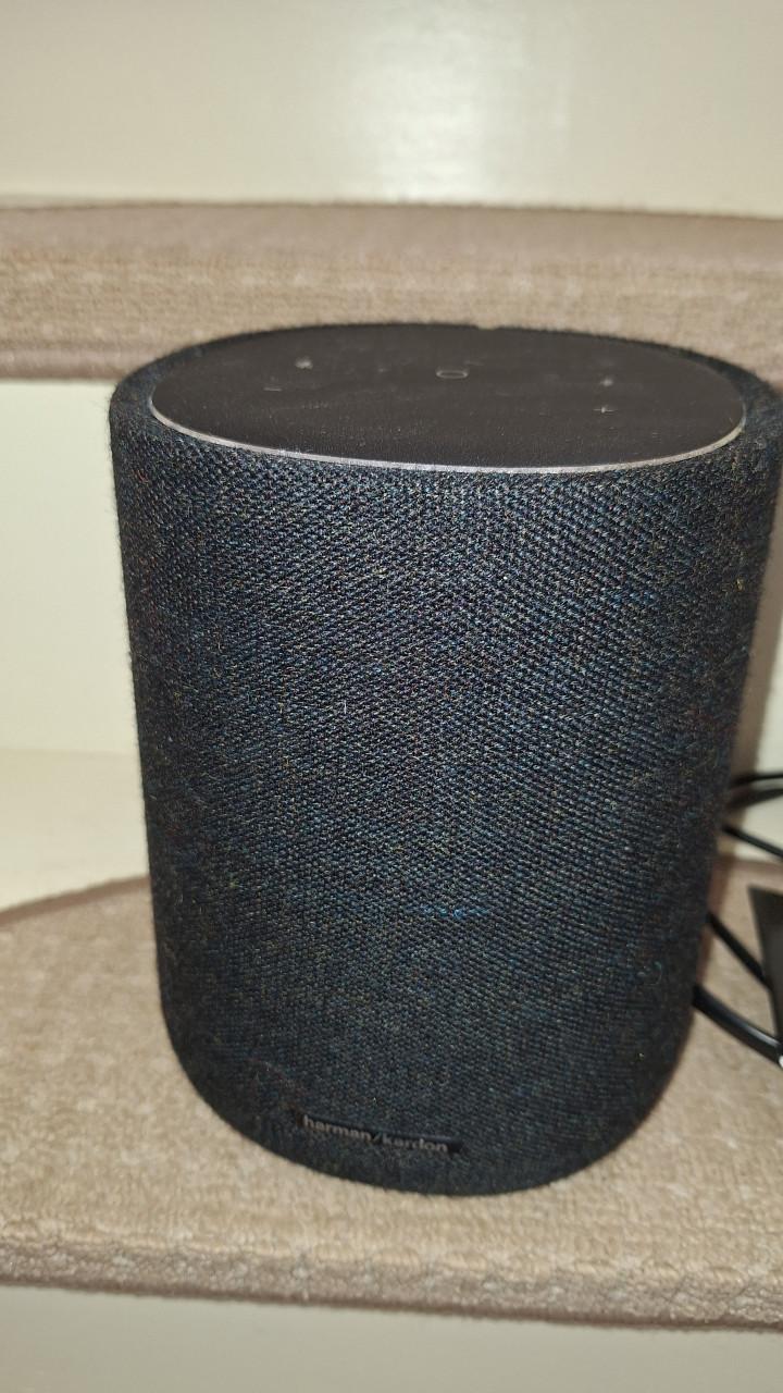 Harman Kardon muziek box, Citation one
