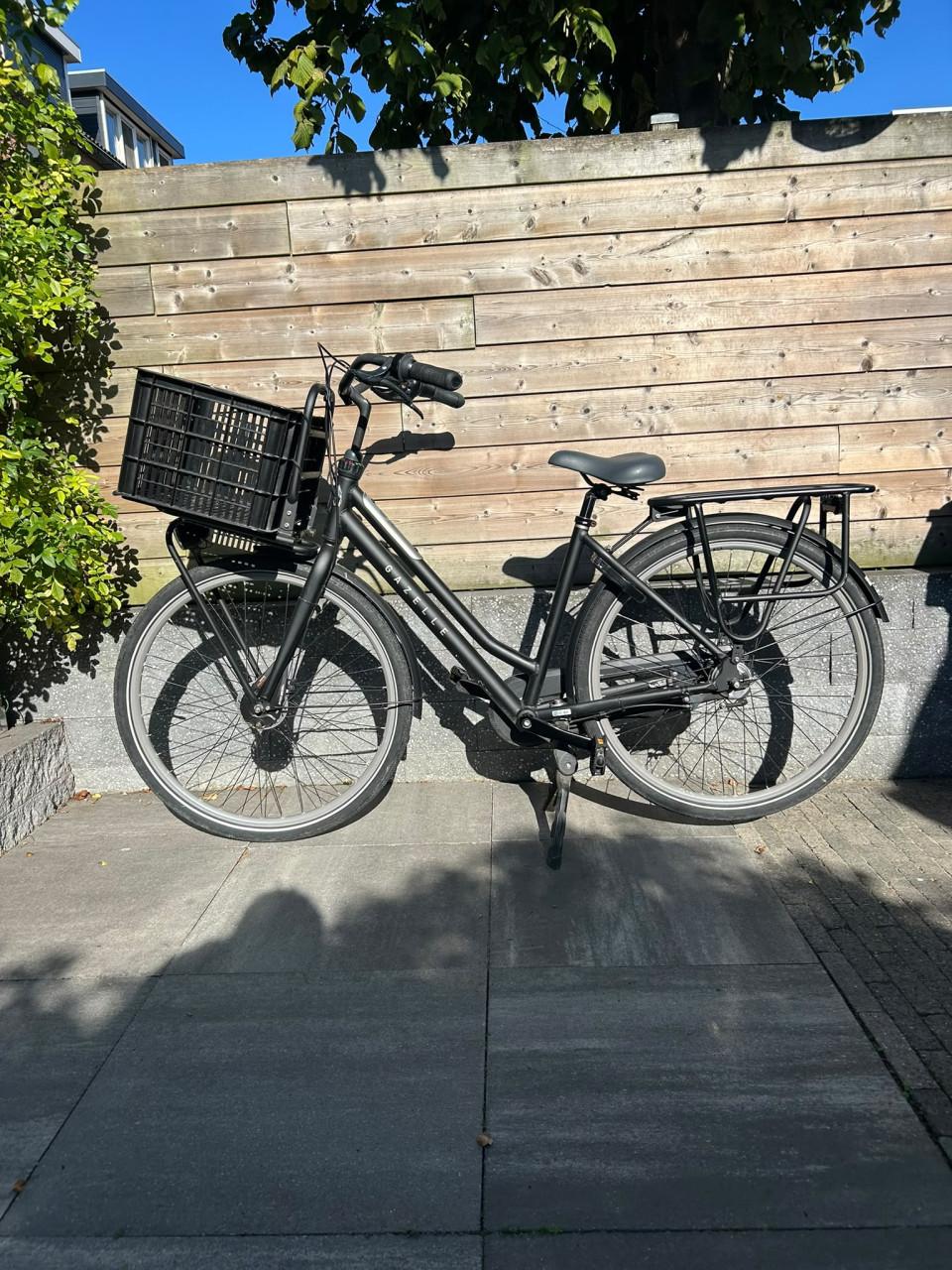 Gazelle HeavyDutyNL – damesfiets – mat zwart