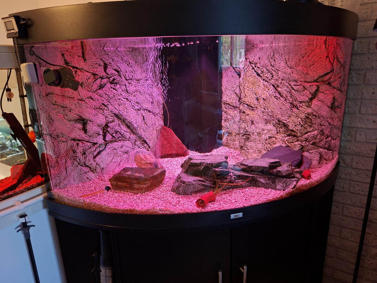 Te koop: nette Juwel 350 hoek aquarium