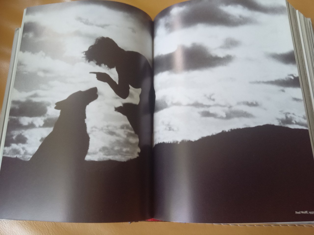 1000 dogs, fotoboek over honden