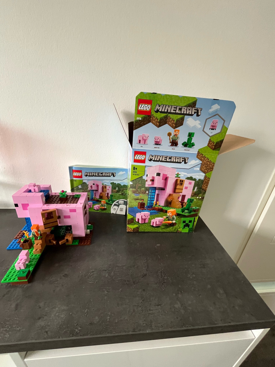 Lego Minecraft 21170 zgan