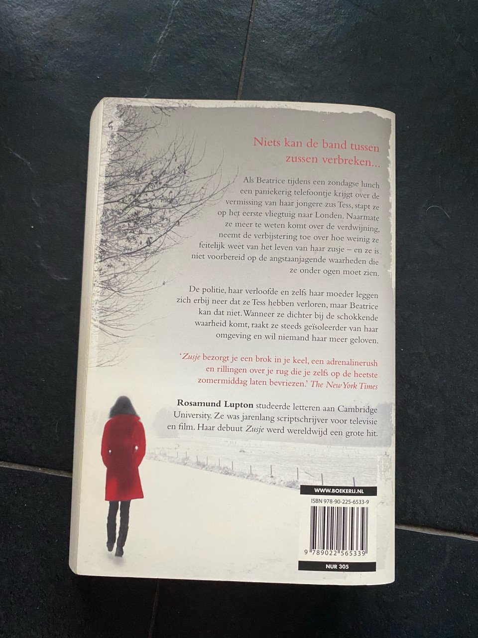 Te koop boek zusje