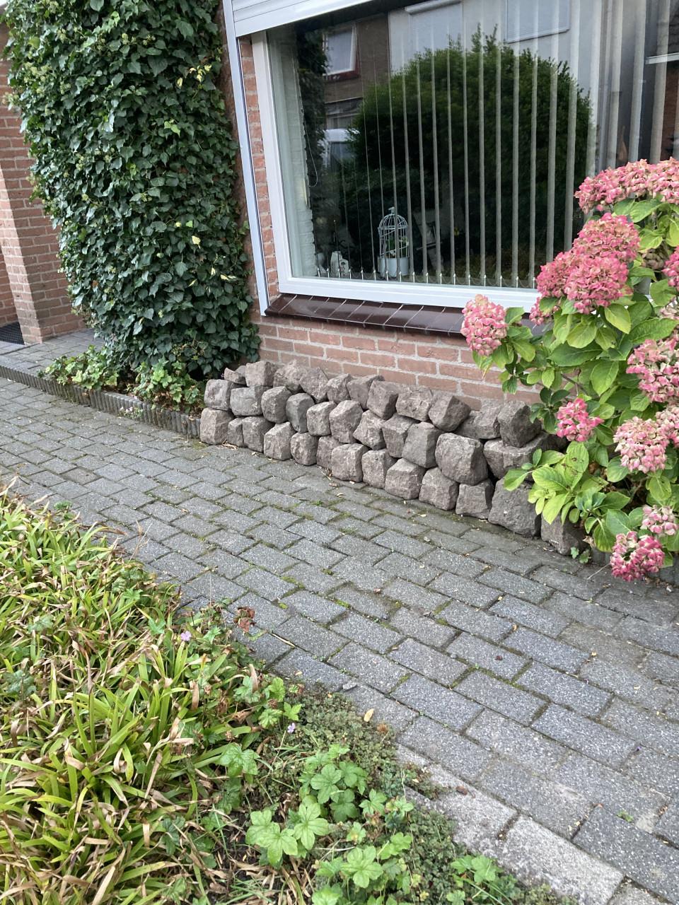 Kinderkopjes