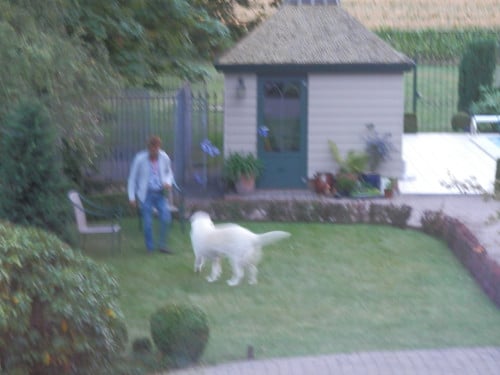 Dakbedekking voor mooi nostalgisch dak!