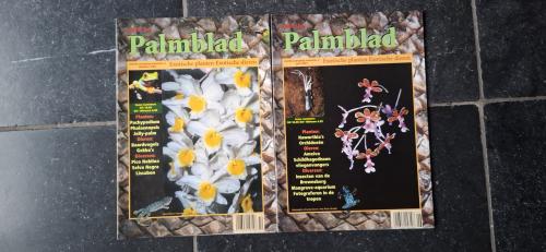 Tijdschriften Onder het Palmblad