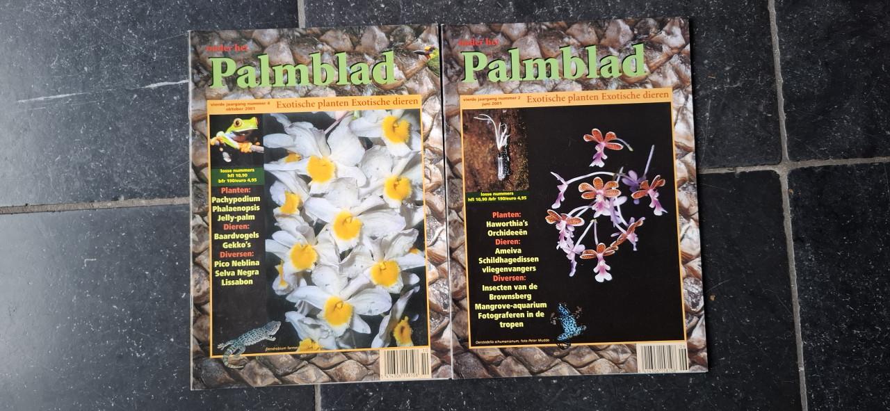 Tijdschriften Onder het Palmblad