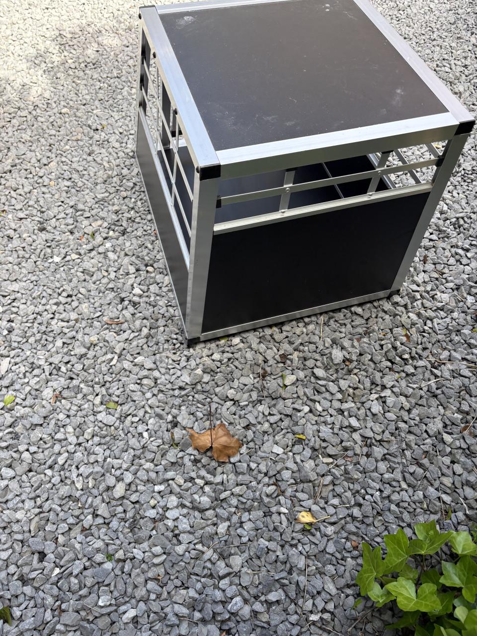 Bench voor de hond