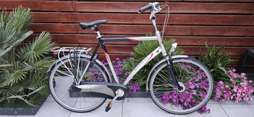 Batavus herenfiets 65 cm
