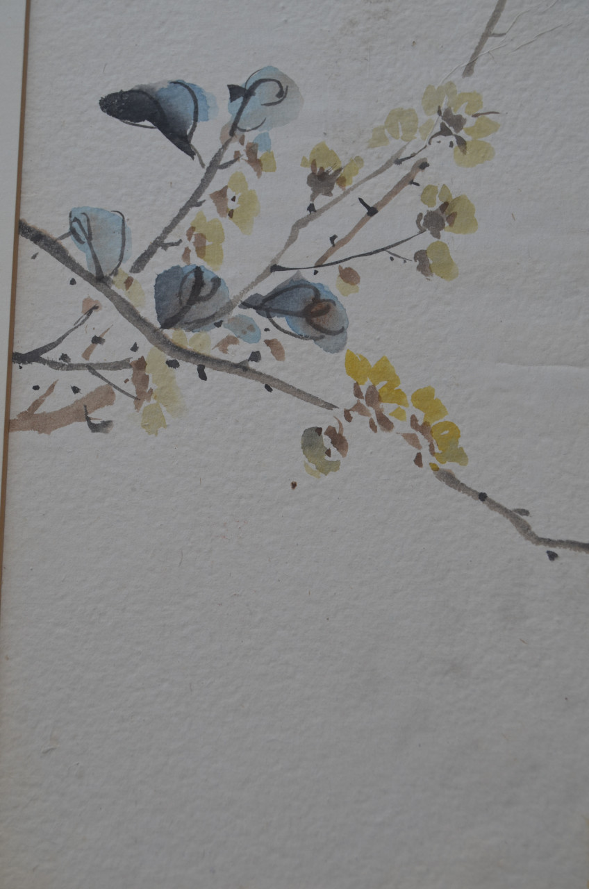 Schitterende oude Japanse (Chinese?) aquarellen in passe-partout (4)