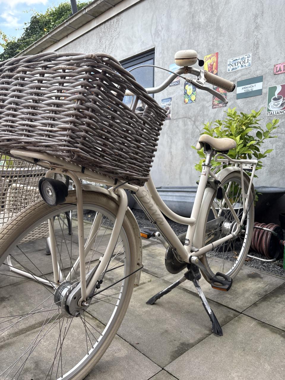 Vandaag ophalen, dames fiets