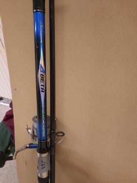 Hengel zgan Shakespeare Beta Beachcoaster 12’ met molen