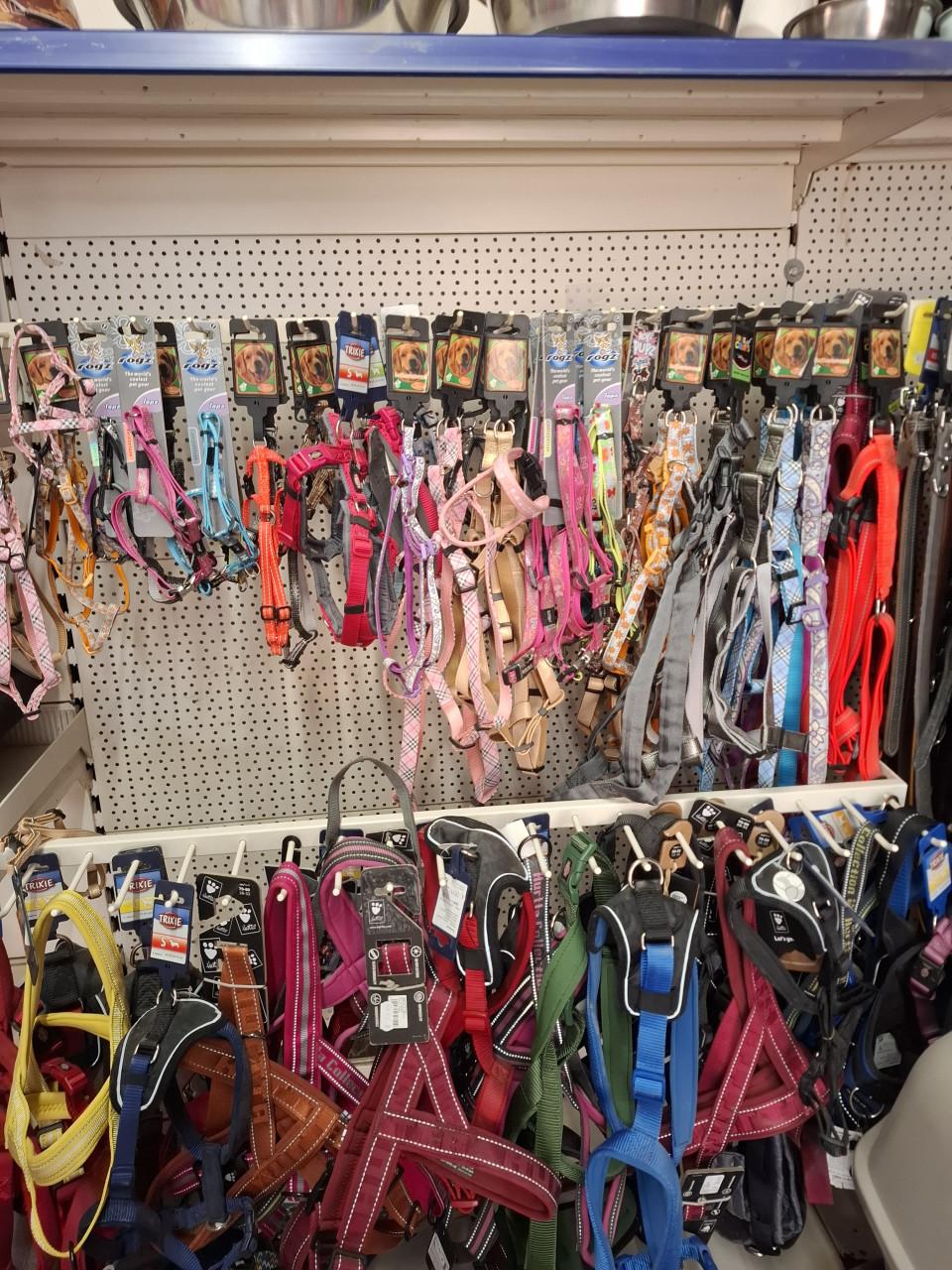 50 % KORTING op alle hondenriemen, tuigjes enz.