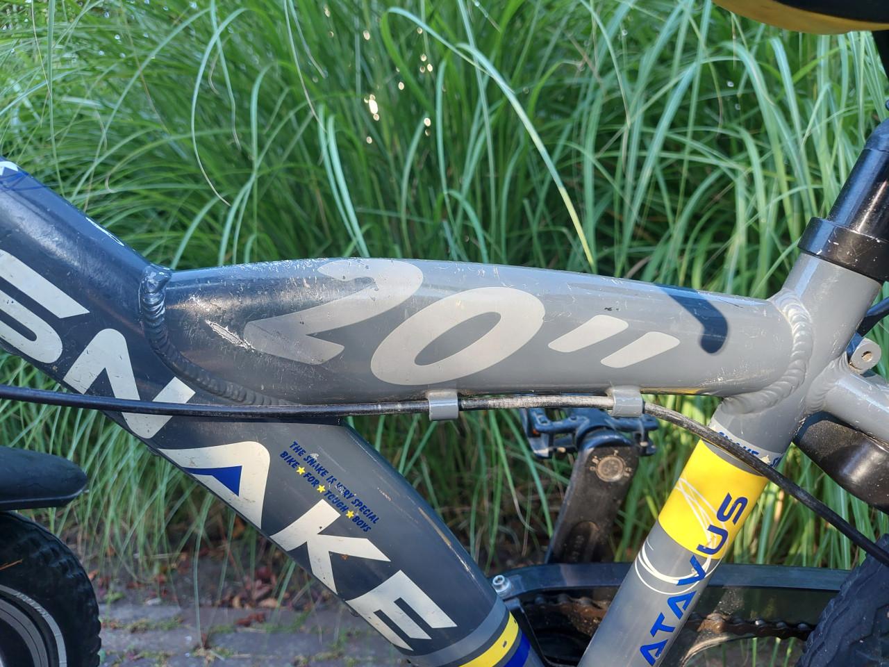 Jongensfiets Batavus snake 20 inch