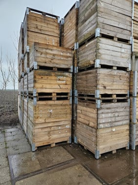 Fruitkisten. Opslagboxen. Moestuinbakken., Voorraadbakken. Houtenkratten