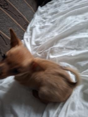 Chiawa reutje geboren 18 september